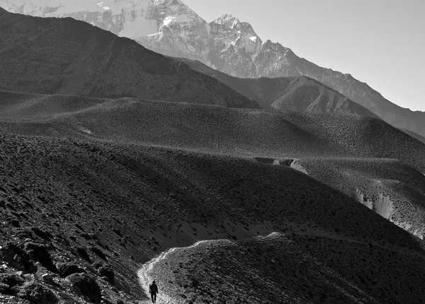 Editorial photograph by Dorothy Lin, selected for the focal stories collection.