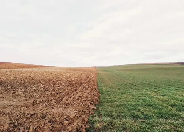 Editorial photograph by elizabeth lies, selected for the focal stories collection.