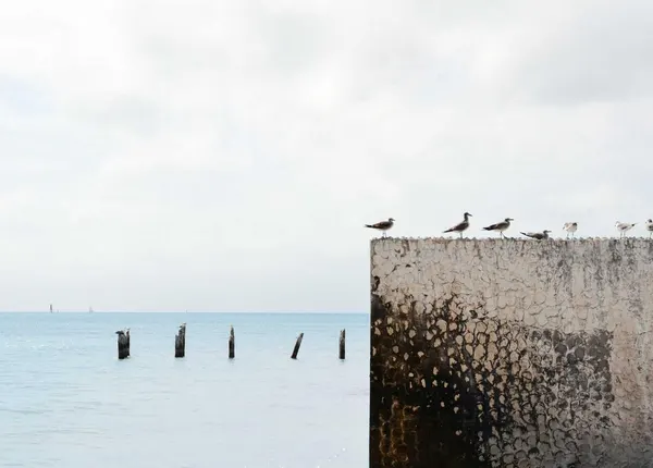 Editorial photograph by Jill Heyer, selected for the portrait distance collection.