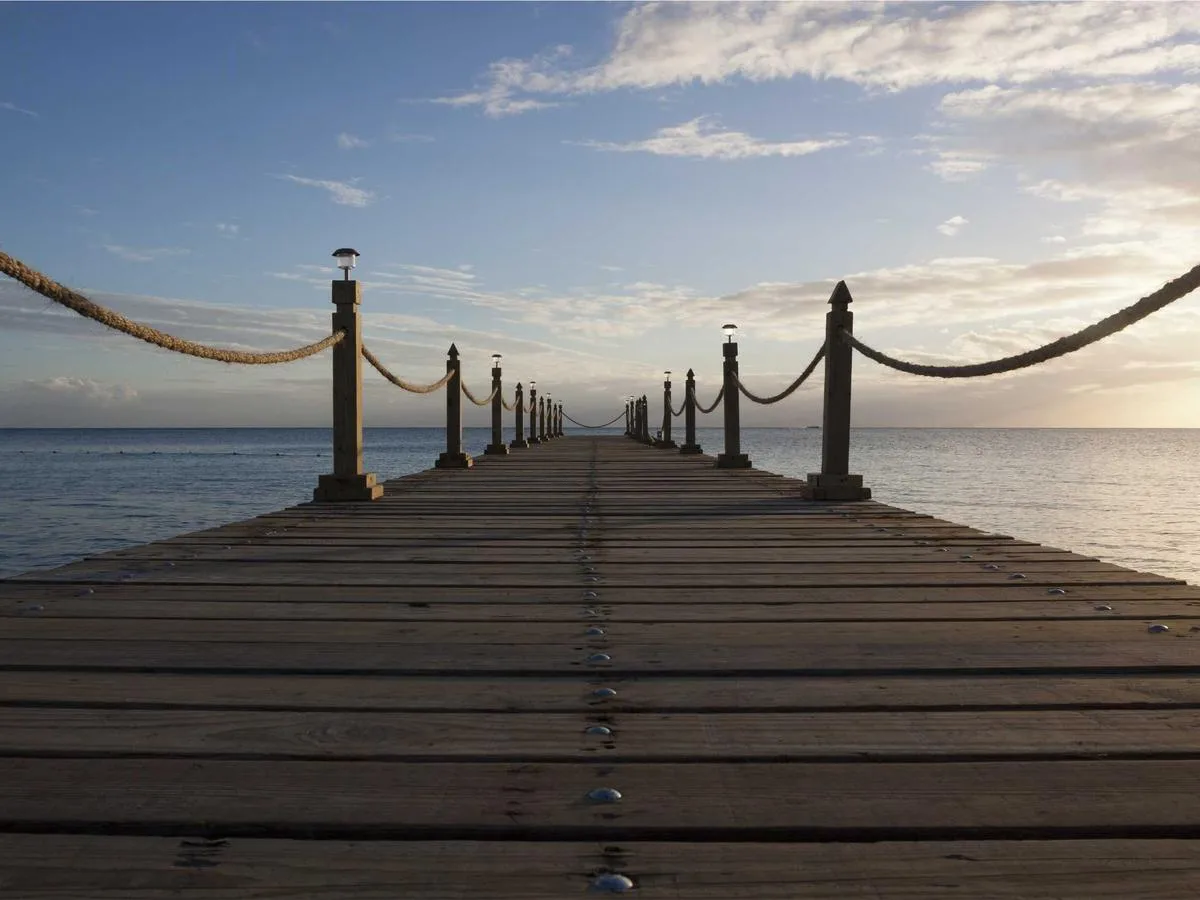 Editorial photograph by Dirk Sebregts, selected for the background craft collection.