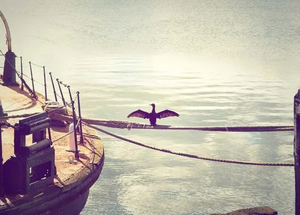 Editorial photograph by Tyler Wanlass, selected for the background craft collection.