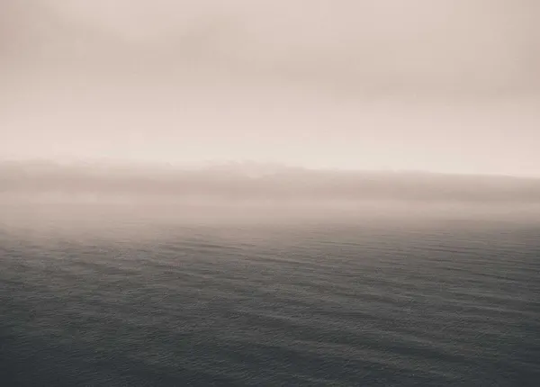 Editorial photograph by Taylor Leopold, selected for the optical character collection.
